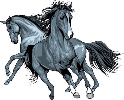 wild horse clipart|wild horse pictures images.